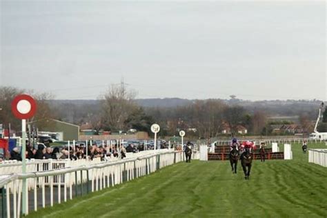 Dead Heat Betting Guide Everything You Need to Know.